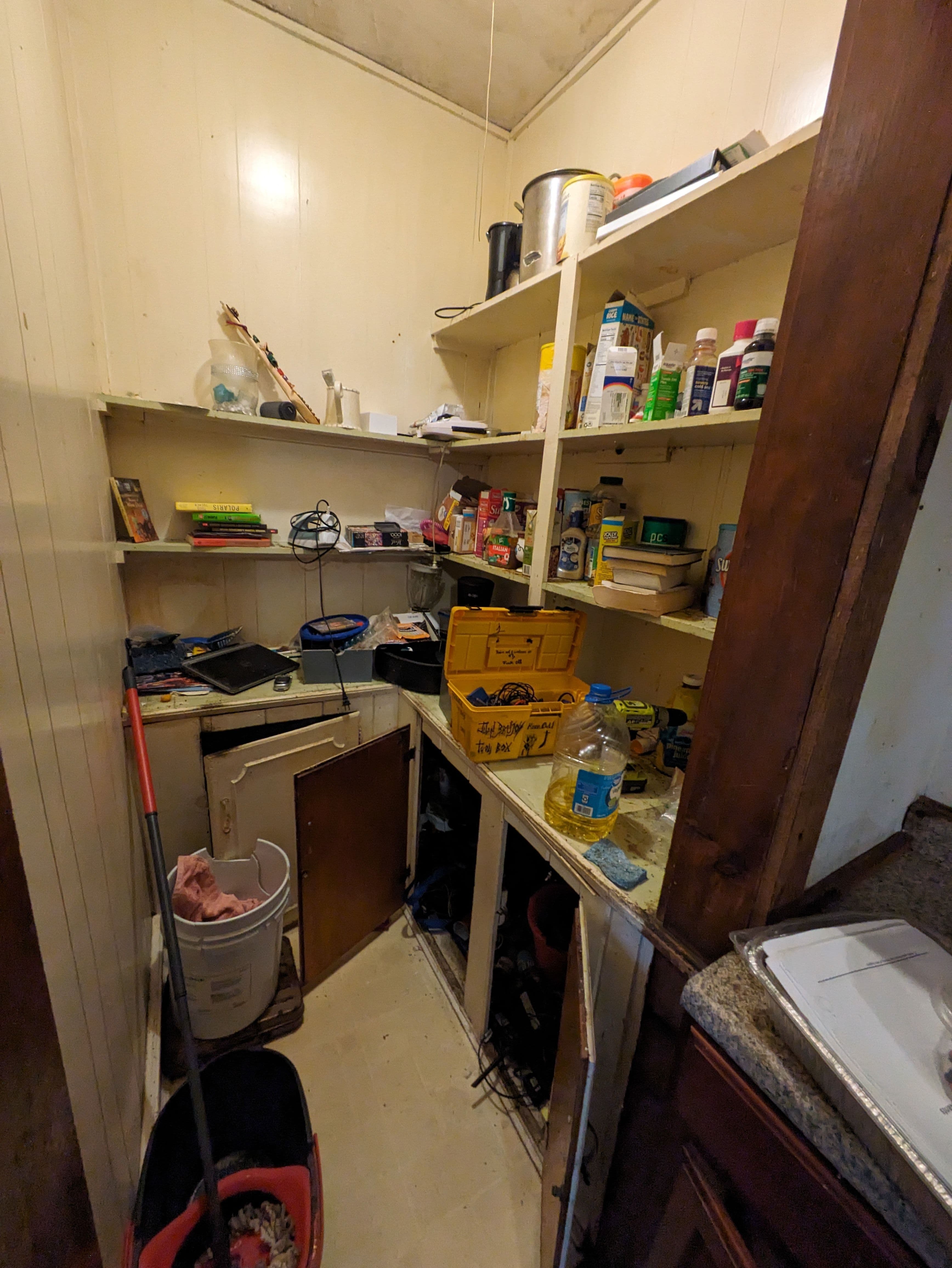 Cluttered pantry with shelves filled with household items and cleaning supplies.